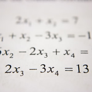 Mathematical Literacy